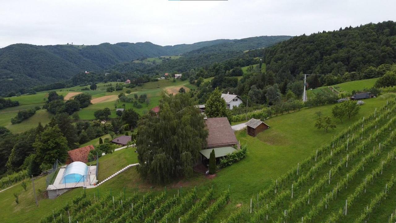 Zidanica Bundersek Apartment Šentjanž Екстериор снимка