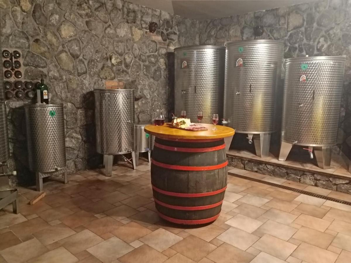 Zidanica Bundersek Apartment Šentjanž Екстериор снимка